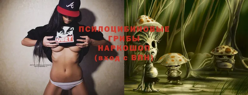 даркнет сайт  Балахна  Псилоцибиновые грибы Magic Shrooms 